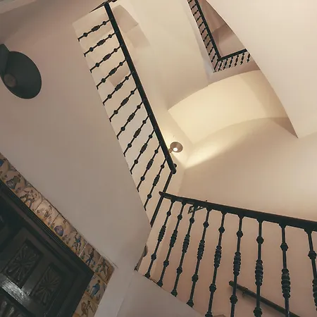 Apodaca 3*