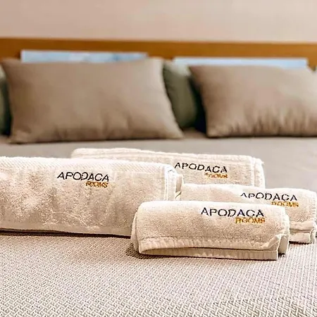 Apodaca 3*