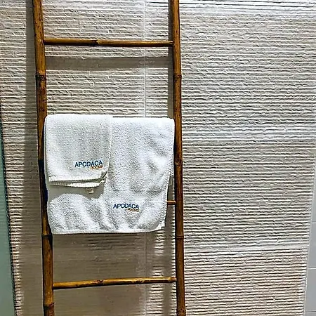 Apodaca 3*